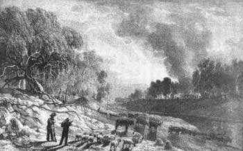 Artist's impression of 1851 bushfires
