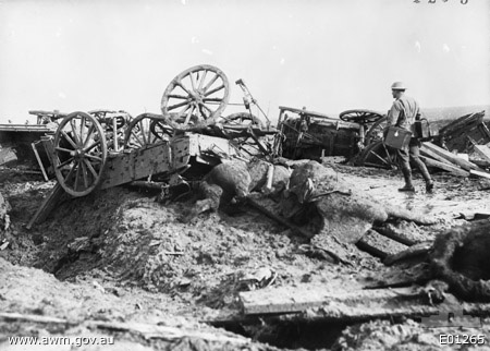 Picture at Westhoek Ridge, in World War One